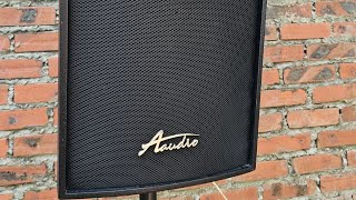 Loa Aaudio bass treble celto Pháp giá 8trxxx [upl. by Rahas]