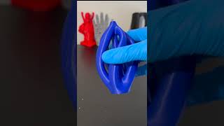 Elegant Single Rose Vase  3D Printing Timelapse [upl. by Eibocaj]