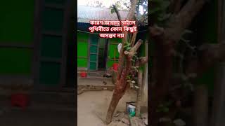 আল্লাহ চাইলে কোন কিছুই অসম্ভব না বাংলাওয়াজ muftigiasuddintaheri newwaz2025 [upl. by Diandre]