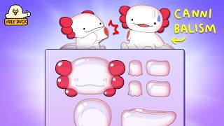 Axolotls are gummies Popin Cookin [upl. by Karina432]