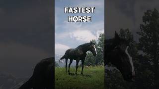 RDR2 5 Most Beautiful Horses rdr2 shorts [upl. by Eical]