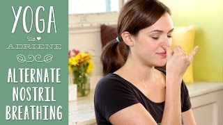 Yoga Breathing  Alternate Nostril Breathing [upl. by Brook]