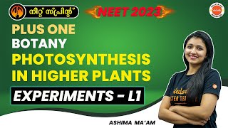 PHOTOSYNTHESIS CLASS 11 ONE SHOT  NEET 2024  ALL CONCEPT AND TRICKS  BOTANY BY SANKALP BHARAT [upl. by Ablasor]