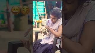 Puppy dogie sweet 😚😚subscribe new doglover [upl. by Madi]