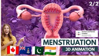 How the Menstrual Cycle Works  3D Animation [upl. by Belding204]