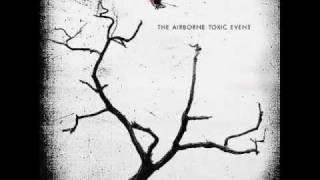 The Airborne Toxic Event  Wishing Well Lyrics [upl. by Aihtniroc378]