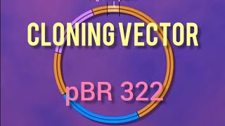 Cloning VectorPlasmid pBR322  Biotechnology Principle and process Class 12th Biology classes [upl. by Palestine]