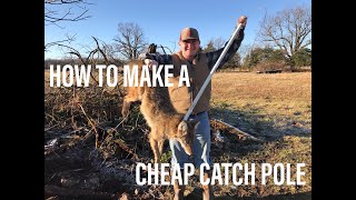 How to Make a CHEAP Catch Pole [upl. by Dimmick788]