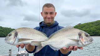 Sea Fishing UK  Fishing for Bass and Bream for food  Inshore Estuary Fishing  The Fish Locker [upl. by Adnohsirk]