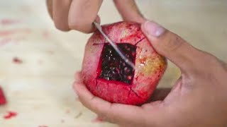 How to Cut Open Pomegranate in 1 Min [upl. by Anavoig]