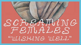 Screaming Females  Wishing Well Official Audio [upl. by Abramo]