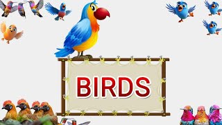 Birds Names for Kids Lesson 3  Easy Learning with Quizzes [upl. by Petey]