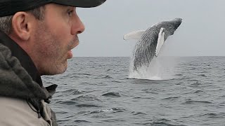 JE PÊCHE UN MASTODONTE DES MERS   Cyril Chauquet [upl. by Litt]