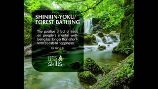 SHINRINYOKU FOREST BATHING [upl. by Haleemak380]