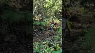 Tes Jalur Jelajah Loa Ipuh Darat Trail Adventure 19 Oktober 2024 [upl. by Laicram]