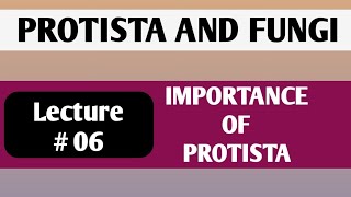 ECONOMIC IMPORTANCE OF PROTISTA  PROTOZOA  ALGAE [upl. by Aara]