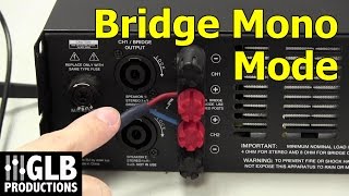 How to set up and connect a power amplifier in bridge mode [upl. by Aluap]