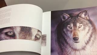 BOOK Renso Tamse Wild in Europa  wildlife art watercolors [upl. by Corwin]