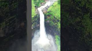 Kumbhe Waterfall Maharashtra’s Hidden Nature Escape kumbhewaterfall india nature explore [upl. by Romito351]