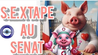 SEXTAPE AU SENAT  nouvelle vidéo oracledu6emejour oraclevoixdesanges oraclemarcdecafé [upl. by Nnaarat]