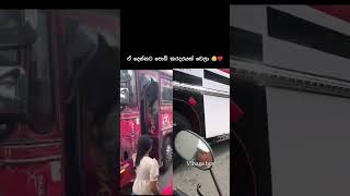 එයාල දෙන්නට පොඩි කරදරයක් වෙලා shorts 1m bus trending [upl. by Hooke109]