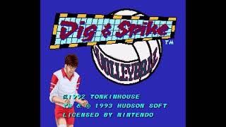 Dig amp Spike Volleyball Super Nintendo [upl. by Quinlan]