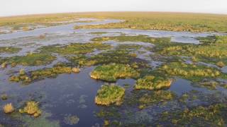 Interactuando con los yacarés Esteros del Iberá Corrientes Argentina Parte 1 [upl. by Akeyla]