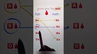 Blood Group  Donor  Acceptorrecipient blooddonation [upl. by Sherrer]