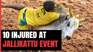 10 People Seriously Injured At Jallikattu Event In Tamil Nadu  The Southern View [upl. by Dilisio829]