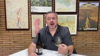 Wine Review Thomas Pico Domaine Pattes Loup Chablis Premier Butteaux 2019 [upl. by Carrew]