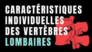 L1 L5  Caractéristiques INDIVIDUELLES des vertèbres LOMBAIRES [upl. by Stu]