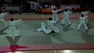 Stage Nanbudo Cesena 1987 [upl. by Nedgo788]