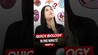 Golgi Apparatus  Quick biology🧬 in One Minute⌛ Part 4 ytshorts biology magnetbrains [upl. by Aennyl]