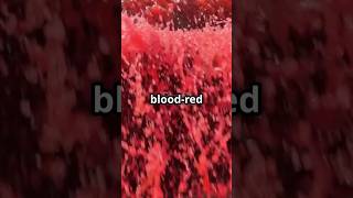 Blood Falls Antarcticas Eerie Red Waterfall Explained [upl. by Raven281]