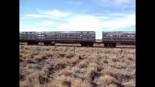 Cattle Train between Longreach amp Winton Queensland  pics [upl. by Nnayelhsa]