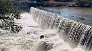 New Day Milstead Dam Yellow River Raging [upl. by Sihtam376]