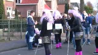 Optocht Dun Birrekoal 2014 Carnavalsoptocht van de gemeente Berlicum [upl. by Wengert]