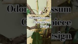 Fragrant Orchid Odontoglossum Centerpiece Design [upl. by Selie]