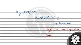 Archesporium of ovule is [upl. by Anigger420]