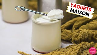 Recette de yaourts maison à la vanille  bien fermes et délicieux [upl. by Gemperle962]