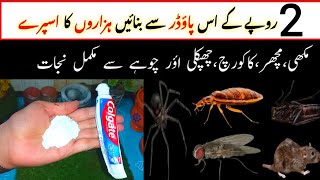 Get rid of rats Mosquito cockroach lizard with homemade spraypowerful insects killer remedy [upl. by Nnayllas]