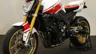 Yamaha Fz1 Abarth Assetto Corse [upl. by Lev579]