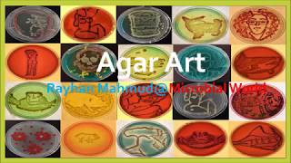 Making Agar Art with Microbes [upl. by Erwin]