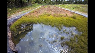 Bioremediation Restoring Contaminated Ecosystems Naturally [upl. by Adnek272]