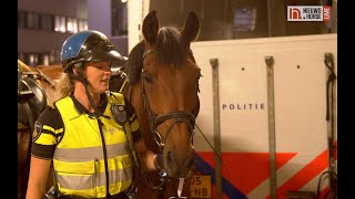 De paarden van de bereden politie [upl. by Aroz]