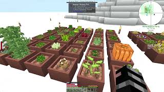 Minecraft Cuboid Outpost 1201  Day 16 [upl. by Eizzil]