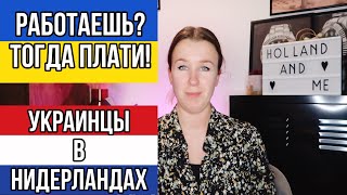 В Нидерландах работающие украинцы будут платить взнос [upl. by Rehpotsirh]