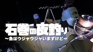 石巻のメジャーポイントで夜釣。6魚種◯◯匹釣れました！ [upl. by Ardnassela]