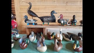 Ocracoke Island Waterfowl Festival showcases wooden duck carvings [upl. by Kimura374]