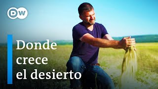 Cambio climático en Rumania  DW Documental [upl. by Let]